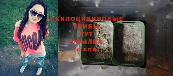 jwh Абаза