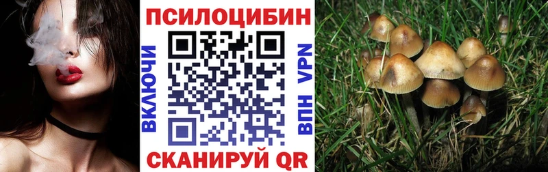 Галлюциногенные грибы Psilocybine cubensis  что такое наркотик  Горячеводский 